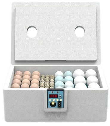 Brutapparat Für Eier | Geflügel Brutmaschine Für 10-25 Eier, Brutkasten Mit Intelligenter Brutsteuerung Für Labor Unterricht & Schulungsräume Geflügelhaltung