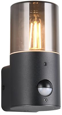 Trio Leuchten Außen Wandleuchte Hoosic 222260132, Druckguss Aluminium Schwarz matt, Schirm Acryl rauchfarbig, exkl. 1x E27, Bewegungssensor