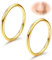 Diamday G23 Titan Nasenringe Hoops 20G 18G 16G Nahtlose Scharnierringe für Nasenpiercings Hypoallergene Klick-Septringe Helix-Ringe Lippenpiercings Daith Conch Tragus Rook Bauchnabel Gold/Silber