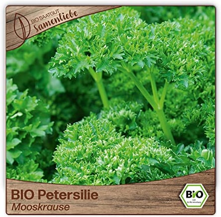 Samenliebe BIO Petersilie Samen alte Sorte Mooskrause 500 Samen samenfestes Kräuter Saatgut für Küche indoor und Balkon Garten BIO Kräutersamen mehrjährig