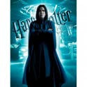 Poster Cristal Snape Harry Potter