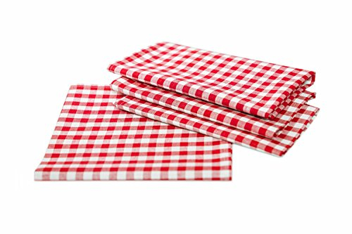 texpot 4 Stück Tischset Größe 33 x 45 cm rot-weiß 10 mm Karo Platzset aus 100% Baumwolle im Landhaus-Stil