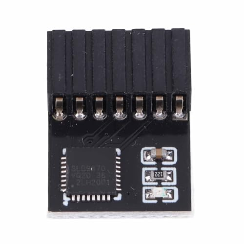 TPM 2.0-Modul, 14-poliges SPI TPM 2.0-Verschlüsselungssicherheitsmodul für Windows 11 für ASUS-Motherboards, Sicherer Kryptografischer Prozessor