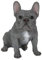 Vivid Arts (Blaue französische Bulldogge sitzend