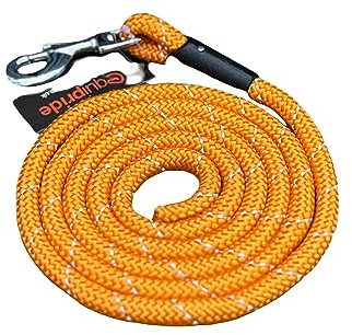 Pferdeführstrick für Halfter, reflektierend, Länge 2 Meter, 7 erstaunliche Farben (Orange)