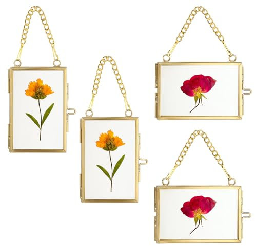 SUMTree 4Pcs Bilderrahmen aus Glas und Metall,Hängende Glas Fotorahmen,Pflanze Probe Clip,Für gepresste Blumen,Fotos,Nur Glasrahmen (Golden, 5x7,6 cm, Rechteck, 2 x horizontal,2 x vertikal)