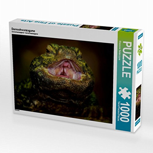 CALVENDO Puzzle Dornschwanzagame | 1000 Teile Lege-Größe 64 x 48 cm Foto-Puzzle für glückliche Stunden