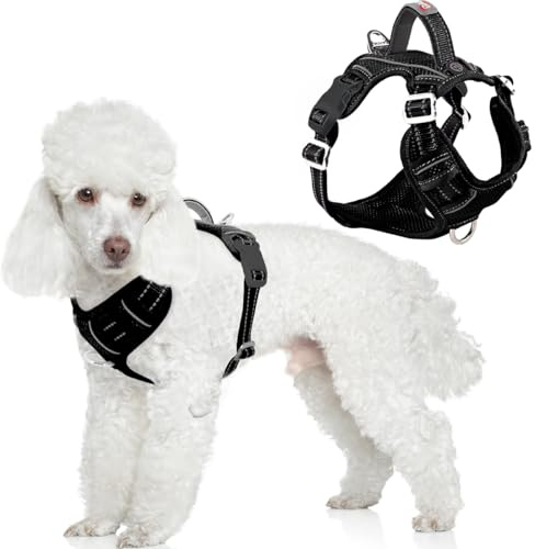 BARKBAY No Pull Dog Harness Front Clip Heavy Duty Reflective Easy Control Handle for Large Dog Walking with ID tag Pocket(Black,S)