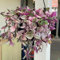 150 pcs dreimasterblume samen, bio saatgut, stauden winterhart (Tradescantia zebrina) alte sorten, extrem winterharte kübelpflanzen balkon, winterharte stauden mehrjährig geschenk