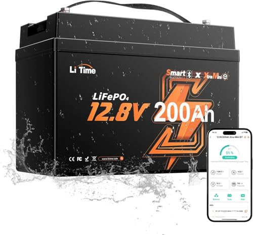 LiTime Batteria Litio 12V 200A Mini LiFePO4 12 V con Bluetooth per Barche