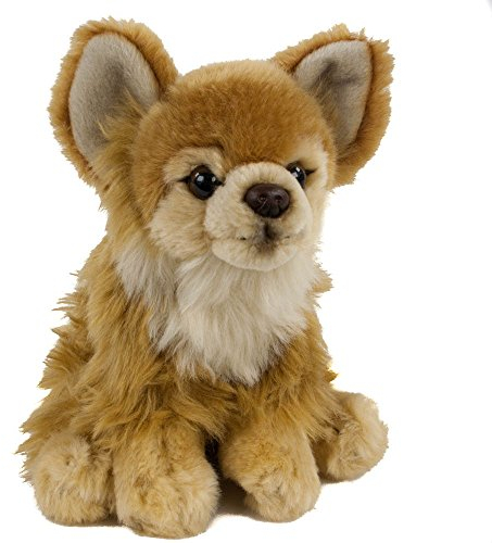 Teddys Rothenburg Kuscheltier Chihuahua 17 cm sitzend braun Plüschchihuahua Plüschhund by Uni-Toys