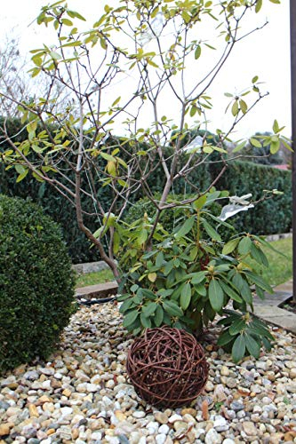 Marcus Weidenkugel in 6 Größen, Dekokugel aus Weide Weidenball Gartenkugel Rebenkugel Handgefertigt in EU (20cm)