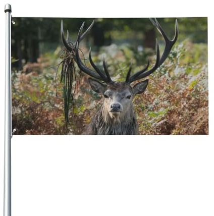 90 x 60 cm große rote Hirsche auf der Warnung in Bracken, Flagge für Haus, Rasen, zum Aufhängen, Dekoration, Hofbanner, Urlaub, Willkommensflaggen mit 2 Metallösen, für den Innen- und Außenbereich
