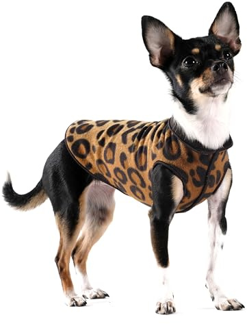 Goldpaw Duluth Doppel-Fleece-Hundepullover für mittelgroße Hunde – weiches, dehnbares Hunde-Fleece – warme Haustierjacke für Herbst und Winter – Premium-Haustier-Oberbekleidung – maschinenwaschbar