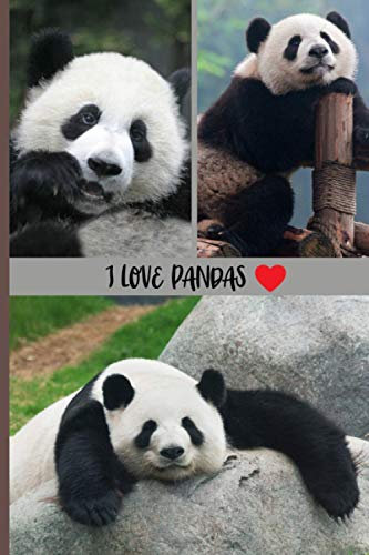 I LOVE PANDAS: PANDA |Journal Carnet, ligné : le cadeau idéal pour les amoureux des Pandas