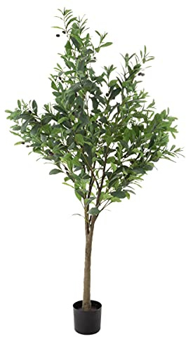 Pure Garden Künstlicher Olivenbaum – 1,8 m Topfpflanze mit Früchten für Zuhause oder Büro Dekoration – natürlich aussehende Polyesterblätter