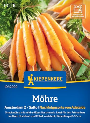 Kiepenkerl Möhrensamen Amsterdam 2/Salto 1042000 – Gemüsesamen für Möhren mit einer Rübenlänge von 8 bis 12 cm und einem Inhalt für 8 bis 10 lfd. Meter - Saatgut