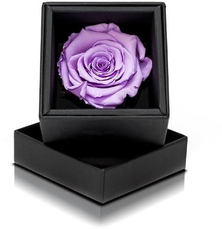 Aluisi Fiori Rosa Stabilizzata Viola in Cofanetto Nero - Rosa Stabilizzata Vera - Rosa Eterna - Fiore Stabilizzato - Fiori Stabilizzati - Simbolo di Interiorità e Unione degli Opposti - Idea Regalo
