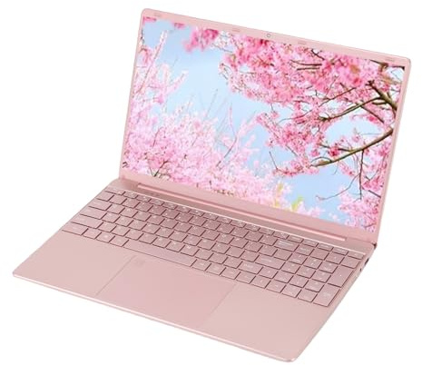 Sxhlseller Leistungsstarker 15,6-Zoll-Laptop für 11Pro mit N5095A Quad-Core-Prozessor und 16 GB RAM, Ideal für Videobearbeitung und Mehrere Anwendungen (256GB EU-Stecker)