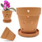 WILD ROOTS CO. 2 Stück 12,7 cm Terracotta Orchideentöpfe mit Drainagelöchern und Untertassen Terracotta Blume Kleiner Pflanzgefäß Ton Gartentöpfe zum Umtopfen Indoor Outdoor Sukkulenten Luftpflanzen