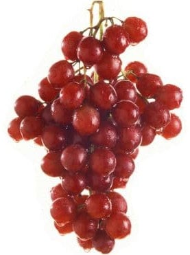 Pianta di UVA VITE innestata FLAME SEEDLESS Rossa APIRENA senza semi in vaso 16 cm FOTO REALE