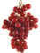 Pianta di UVA VITE innestata FLAME SEEDLESS Rossa APIRENA senza semi in vaso 16 cm FOTO REALE