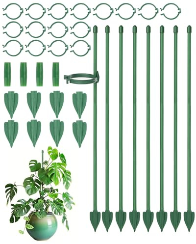 Acual Porta Piante da Interno, 8 Pezzi Supporto per Piante Regolabile da 30 cm, con Fibbie e Connettori, Sostegno per Rampicanti, Giardinaggio, per Monstera, Orchidee e Rose, Verde