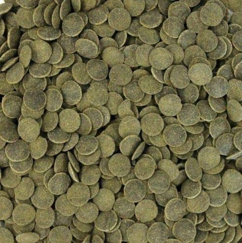 Wohnkult Hausmarke Mini Wafers Spirulina Color und Mix für alle Corydoras u. Bodenbewohner Krebse Garnelen UVM. TOP Futter Fischfutter (1000 ml Spirulina)
