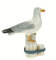 Quay Trader Seevögel, Kunstharz, Ornament/Dekoration – Meer / Strandhütte / nautische Dekor: Möwe (stehend), Möwe (auf Pfosten), Papageientaucher (Möwe auf Stamm) Artikelname (aka Titel)