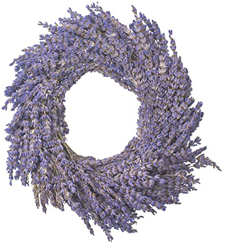 Echter Lavendel getrocknet im Bund - stark duftend Deko, Lavendelbund Trockenblumen, trockenblumen deko, getrocknete Blumen Lavendelblüten Echt Raumduft Blüten (Lavendel Kranz 20 cm)