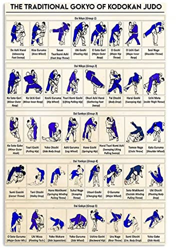 Retro-Metall-Blechschild, traditionelles Gokyo von Kodokan, Judo-Wissensposter, Vintage-Kunst, Metall-Blechschild für Zuhause, Küche, Büro, Studio, Club, Höhle, Wandkunst, 20 x 30 cm