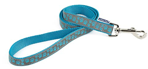 Ancol Patterned Collection Paw Lead Blue 1mx19mm