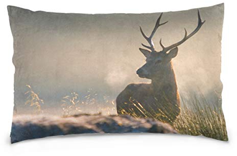 Linomo Kissenbezug 40x60 cm, Tier Hirsch Dekorative Kissenbezug Kissenhülle für Couch Sofa Bett Hause