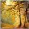 Pixxprint Glasbild, Wandbild auf Echtglas, Wald im Herbst, 50x50 cm, inkl. Aufhängung und Abstandshalter