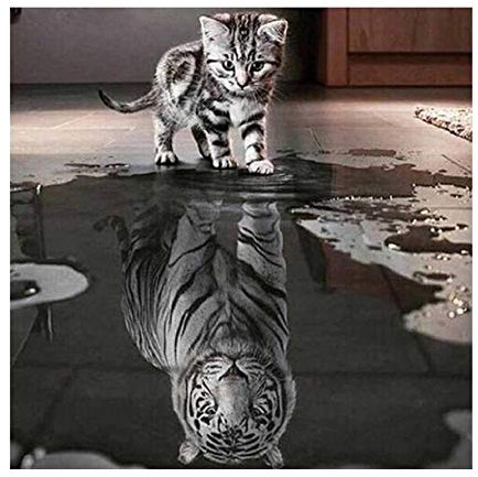 ParNarZar Diamond Painting Eckige Steine Klein Die Katze möchte ein Tiger Sein 30x40cm Voll Bilder Full Bild für Eingang, Haus, Wand, Wohnstub Und Treppe Dekoration
