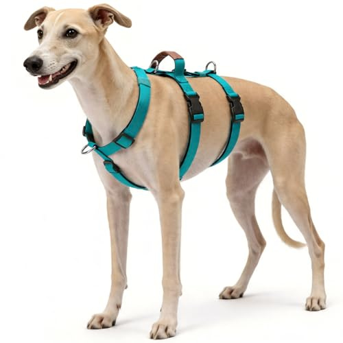Ausbruchsicheres Hundegeschirr, Anti-Zug Sicherheitsgeschirr Verstellbar, 3-Punkt-Design mit Griff für Mittelgroße und Große Hunde, Wandern & Laufen (Blau, L)