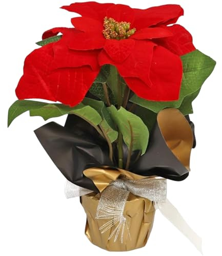 Aurora Store Piantina Poinsettia Stella di Natale con Vaso Decorazione Natalizia Fiorellini Fiore Pianta Artificiale Finta con Sacco Carta Stelle di Natale h. 45cm Fiori