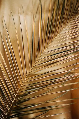 Cuadro golden palm – Made in France – Cuadro de cristal acrílico 40 x 60