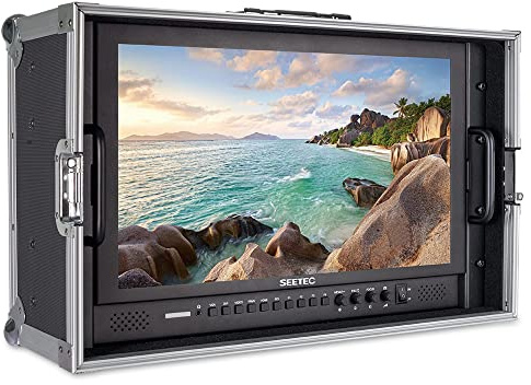 SEETEC P173-9HSD-CO 17.3 400nit 3G SDI 4K HDMI Broadcast Carry on Monitor | AV YPbPr, Immagine Freeze, Focus Assist, Schermo IPS Full HD 1920 × 1080, per Produzione in Studio Regista