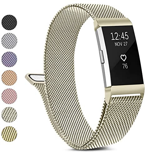 Metallarmband kompatibel mit Fitbit Charge 2 Armbänder, Damen und Herren, Edelstahl-Netzschlaufe, verstellbares Armband, Ersatzarmband für Fitbit Charge 2 (klein, champagnerfarben)