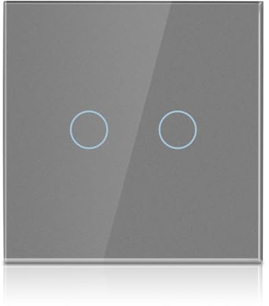 PANGTZEEN Touch Lichtschalter 2 Fach 1 Weg Gehärtetem Glas Schalter Non-WiFi Wandschalter 10A Unterputz Wandlichtschalter Grau Kein Neutralleiter für Wohnzimmer Schlafzimmer Küche Büro