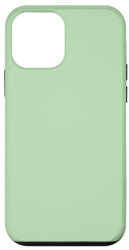 Hülle für iPhone 12 mini Handyhülle mintgrün pastellgrün hellgrün mint grün