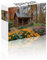 Puzzle Erwachsene 2000 Teile Haus, Wald Puzzle Lernspiel Herausforderung Schwierigkeit, Vielfältig und Bunt Puzzlespiele, Freizeitaktivität Lustige Geschenke Wohndeko für Erwachsene ab 14 Jahren A-1