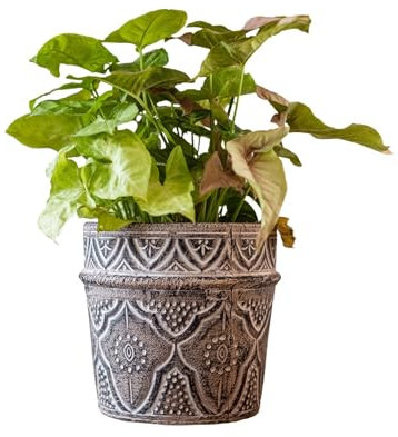 Rich Iron Macetas de arcilla de 7 y 9 pulgadas para plantas, macetas grandes de terracota con agujero de drenaje, macetas de terracota para interiores y exteriores, decoración de primavera