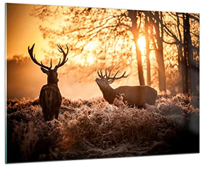 ARTTOR Bilder auf Glas 100x70cm Glasbild Deer Heidekraut Tier Groß Wanddeko Bild im Glas Schlafzimmer Küche Deko Wandbilder Dekoration Wohnzimmer Modern Wall Decor Wand Kunstdruck Art GAA100x70-3043