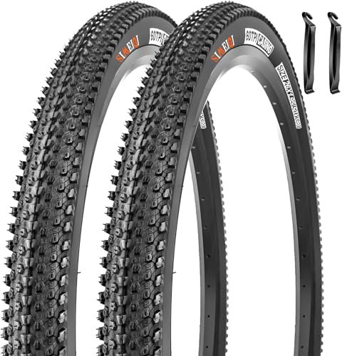 SIMEIQI Paquete de 2 neumáticos de bicicleta de 26 x 1.95 pulgadas (26 x 1.95 pulgadas, 2 neumáticos y 2 palancas)