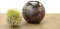 Mini Urne - Urn - Teelichthalter - Schwarz mit Gold - Urne- Urne Hund – Urne Katze – Hunde Urne – Mini Urne – Urne fur Hunde – Katzen Urne – Asche Urne – Urne klein – Tierurne - Kleine Urne