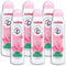 6 er Pack CD 24h Deospray Seidenblüte Deo Deodorant 6 x 150 ml
