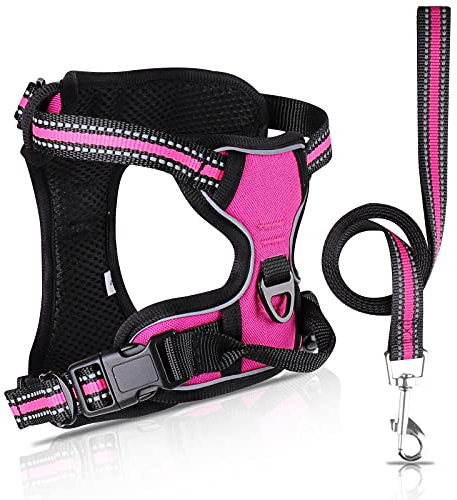 SIBOTER Harnais Chien, Harnais Anti Traction pour Chien, Harnais Chien Anti Traction Réfléchissant, avec Laisse pour Chien, pour Entraînement en Plein Air (Rose, S)