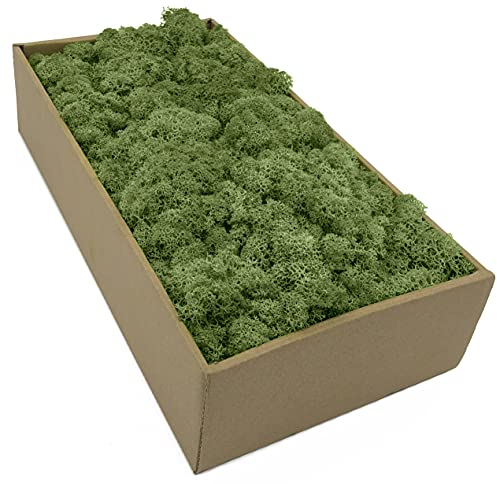 Islandmoos - Moos in 5 versch. Farben 250gr / 500 gr / 1Kg echtes konserviertes Natur Moos zum Moosbild basteln Deko und Modellbau (Grassgrün, 250 gr)